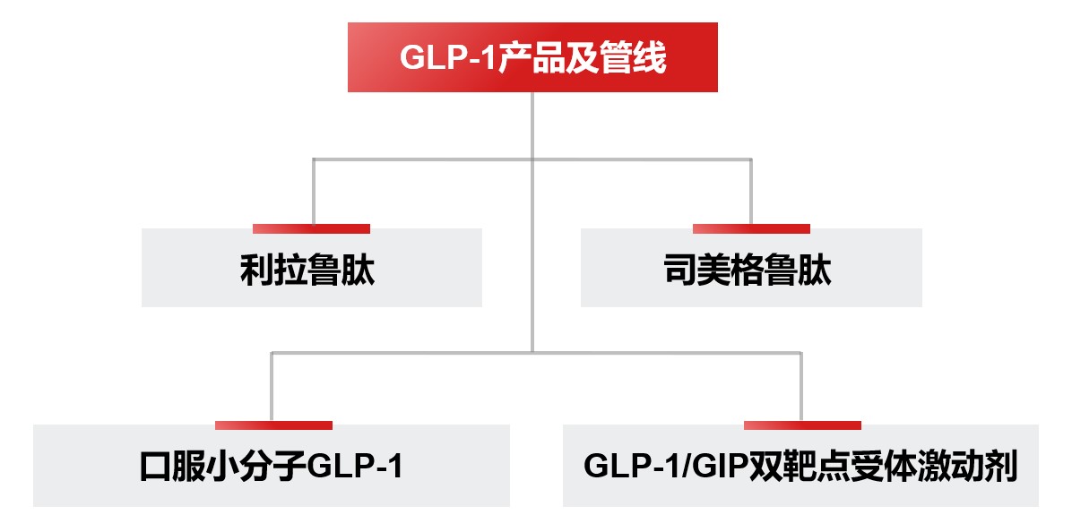 1724663289945244.jpg GLP-1產(chǎn)品矩陣_截圖_有邊.jpg