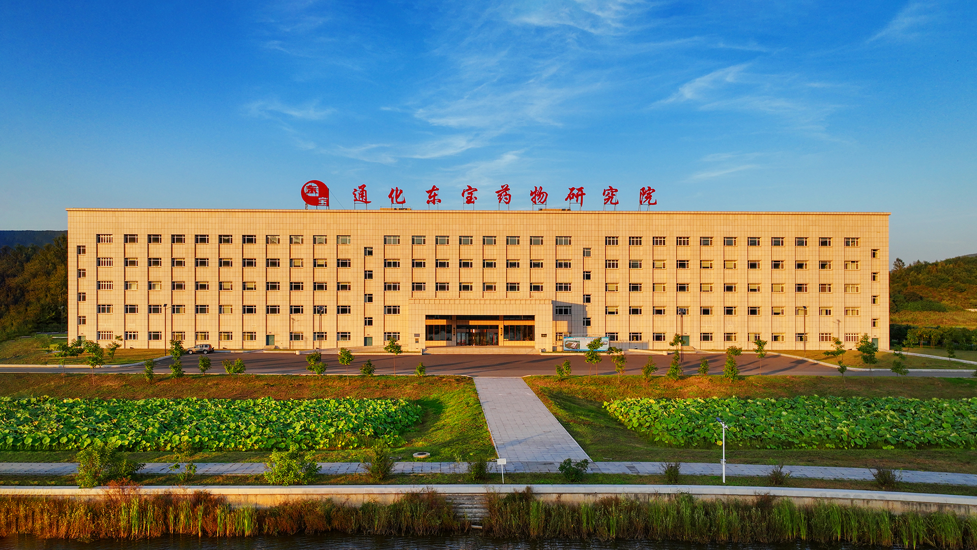 1754373802431673.jpg yt.jpg